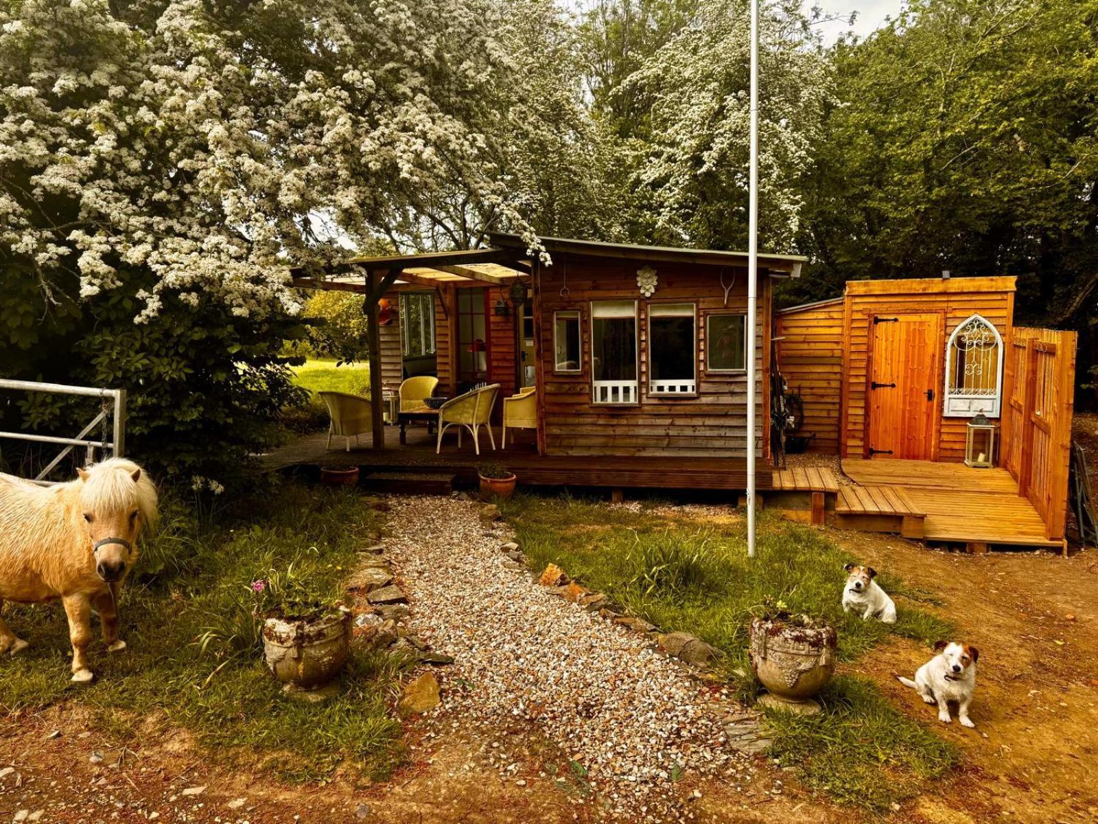 One-Bedroom Chalet
